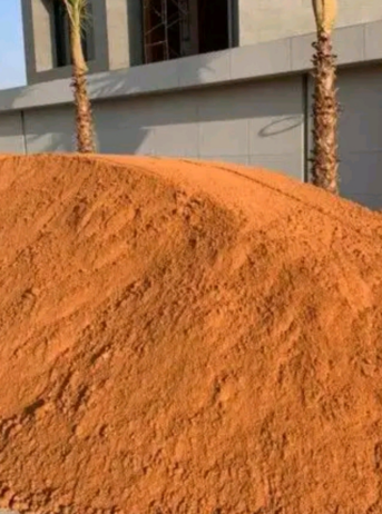 الرياض