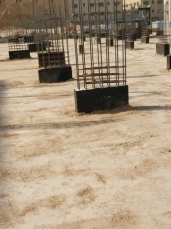 الرياض