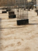 الرياض