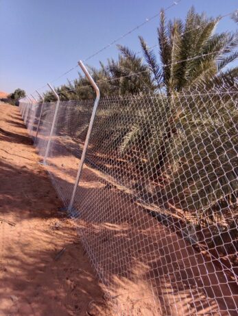 الرياض