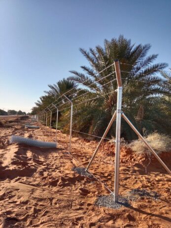 الرياض
