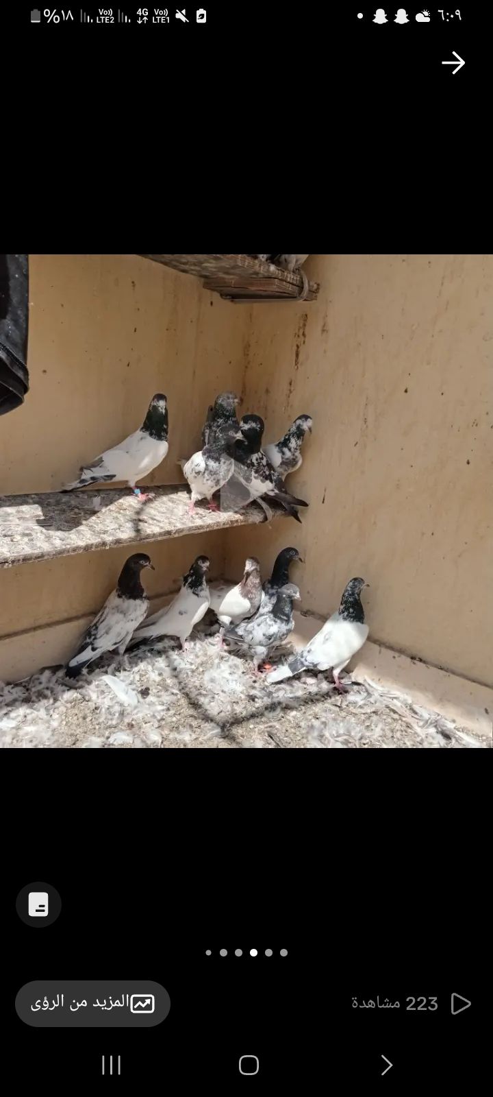 البيع على السوم