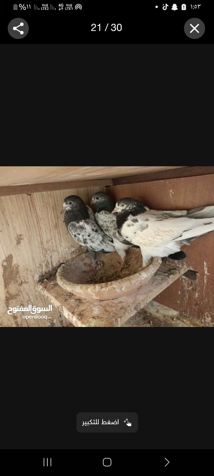 البيع على السوم