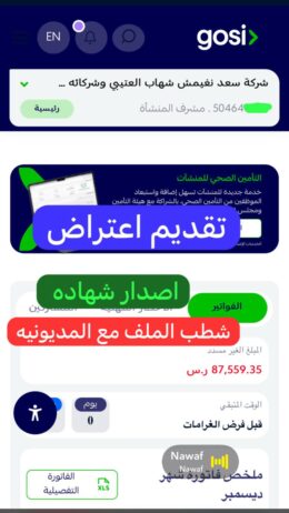 تصفير التأمينات الاجتماعية