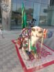 الرياض
