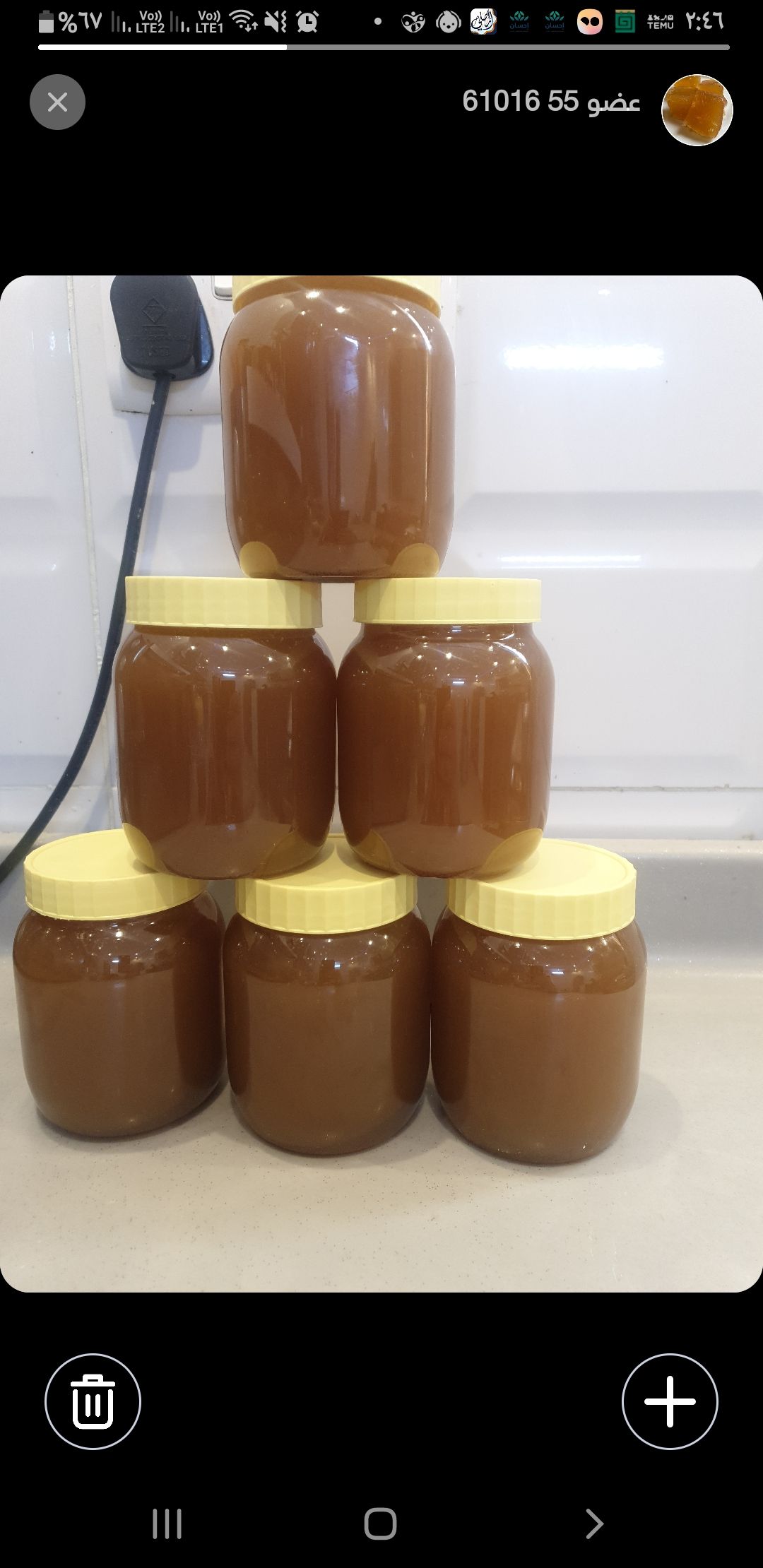 الطايف رميده