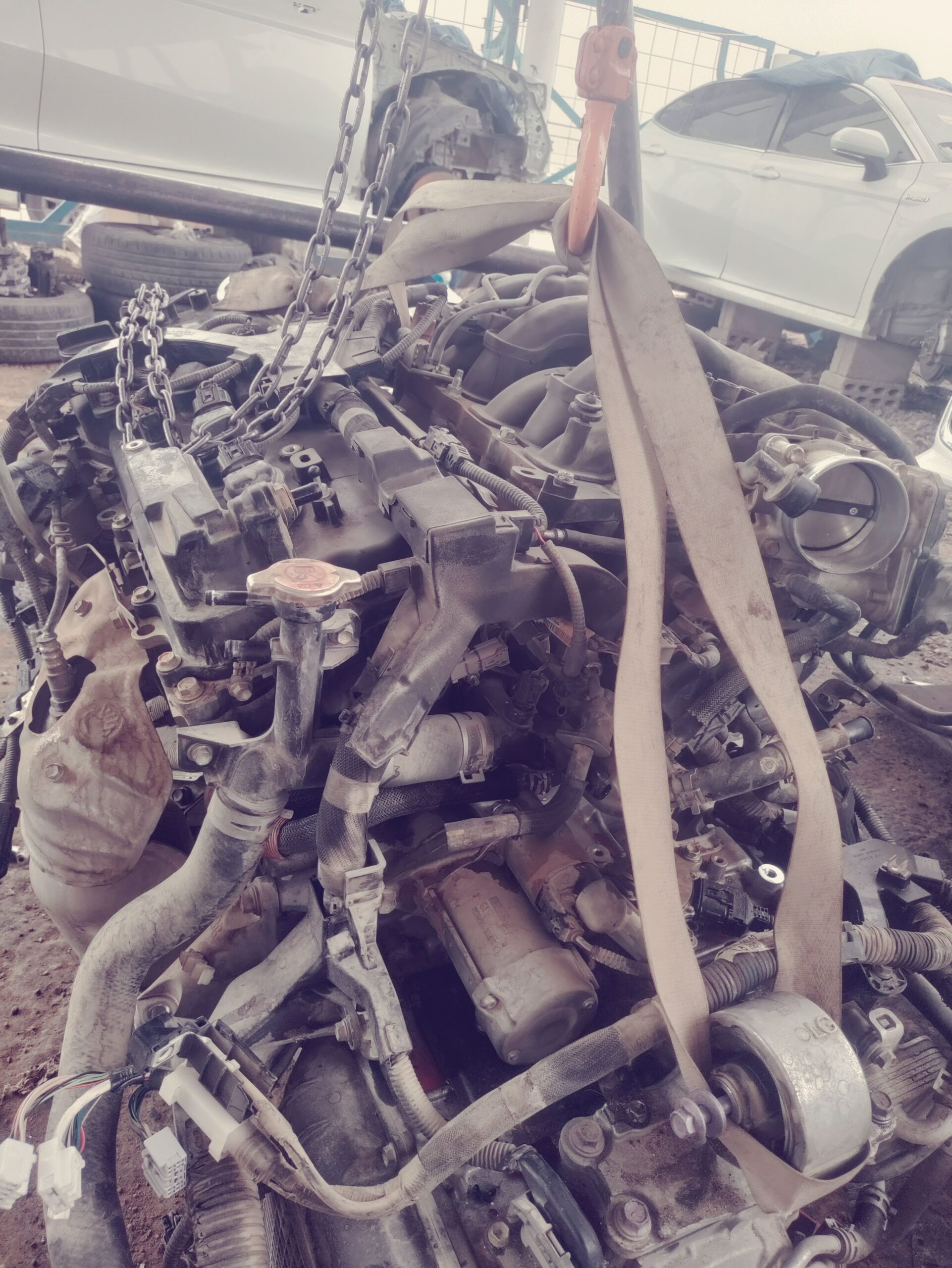 تشلح ابورماح