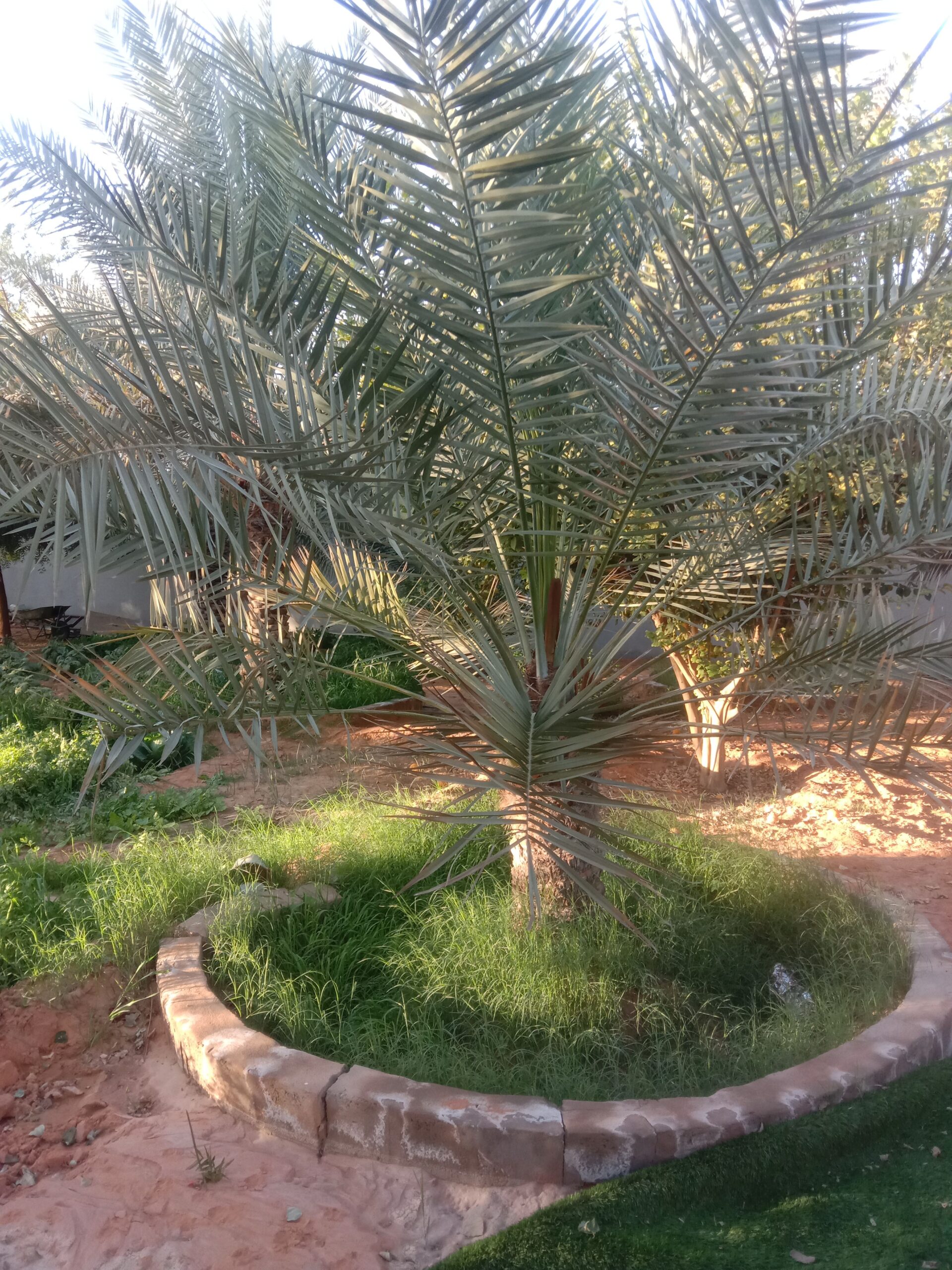 توصيل لا جميع المناطق داخل المملكه