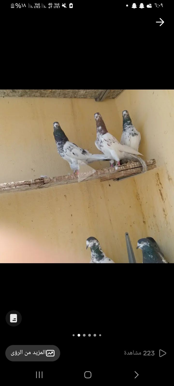 البيع على السوم