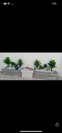 تنسيق حدائق ومظلات وجلسات خارجيه وديكارات داخلي وخ