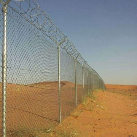 الرياض
