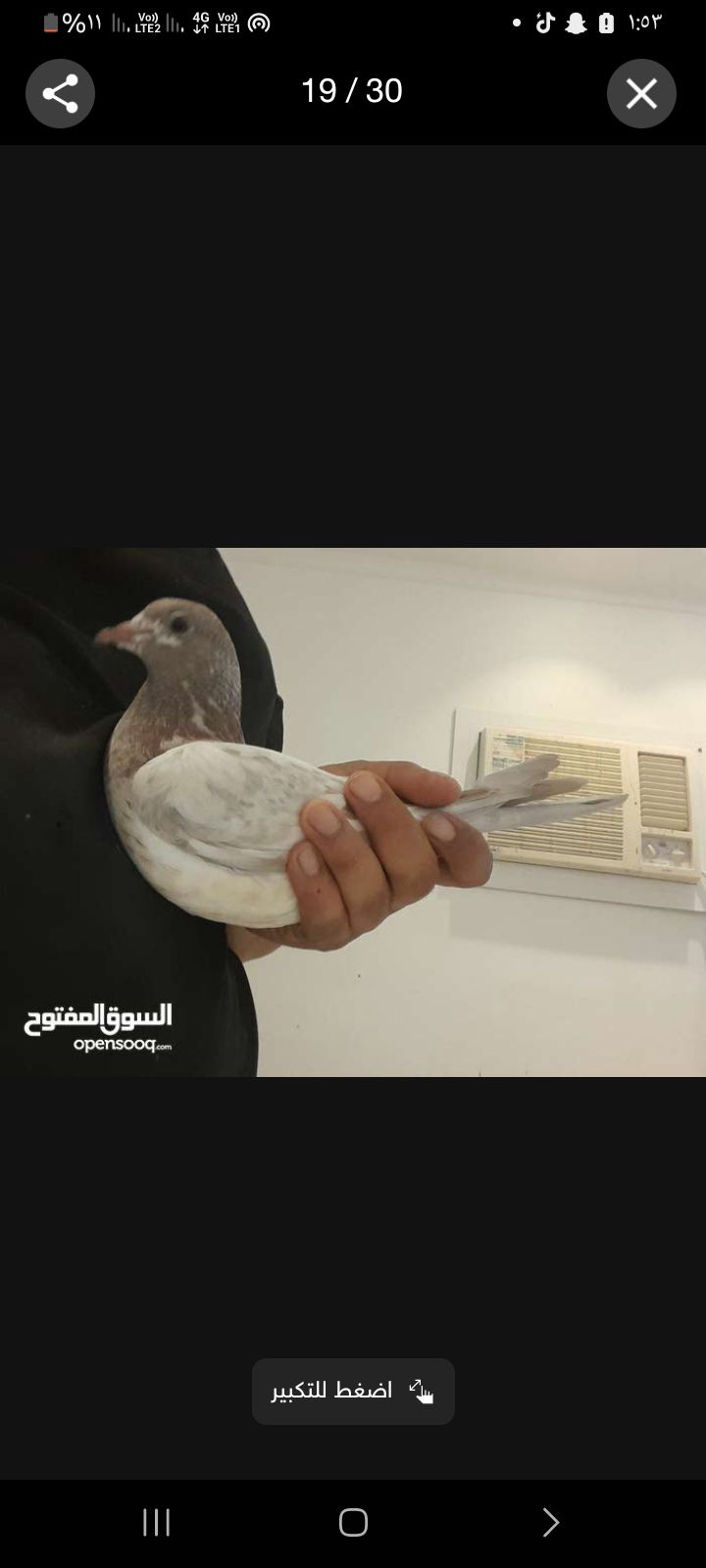 البيع على السوم