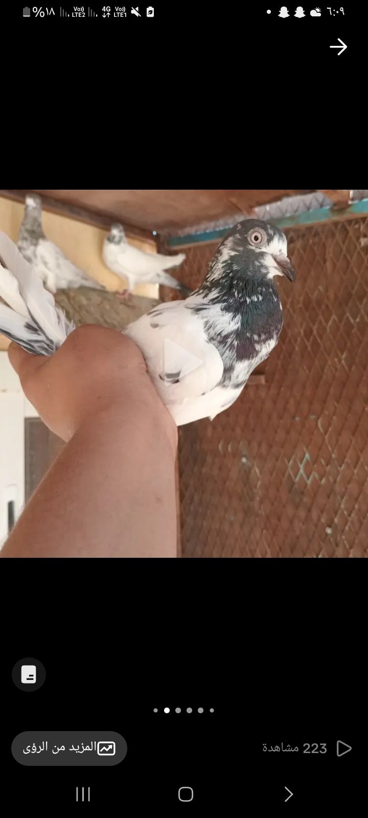 البيع على السوم