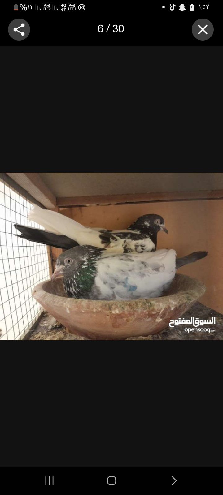 البيع على السوم