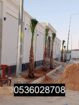 الرياض