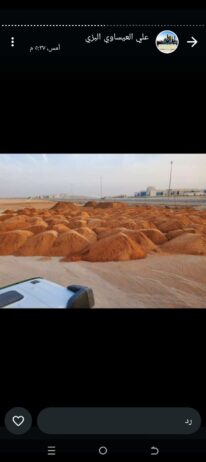 النرجس