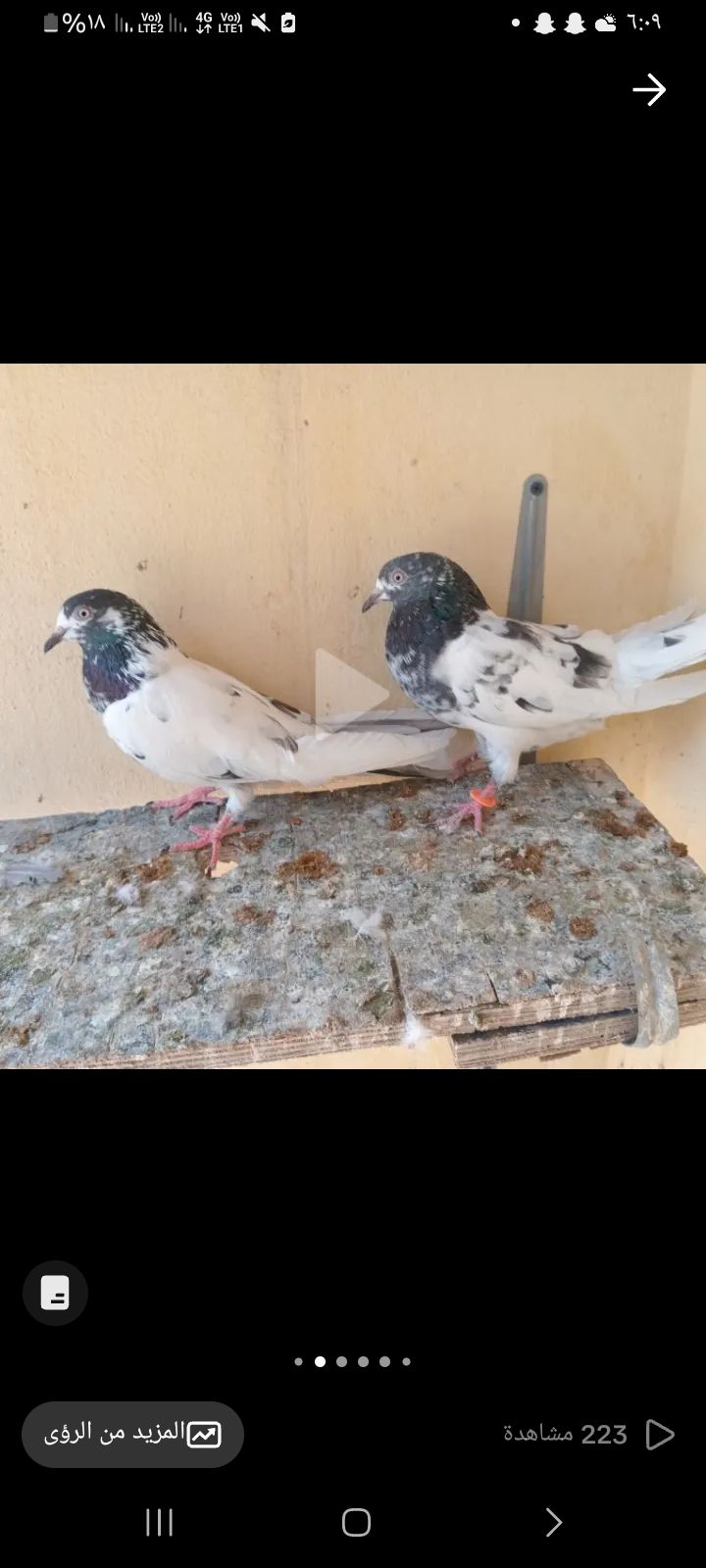 البيع على السوم