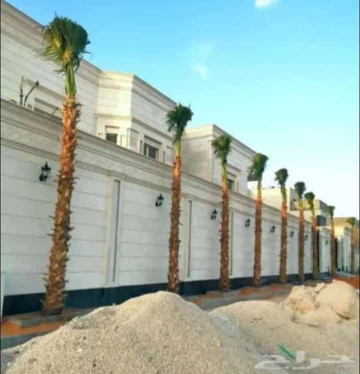 توريد وغرس جميع انواع النخيل الزينة والمثمرة