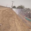 الرياض