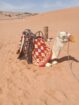 الرياض