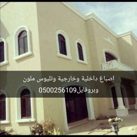 مقاولات عامه اصباغ وترميم ومضلات سواتر برجولات بلا