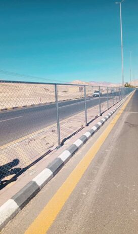 الرياض