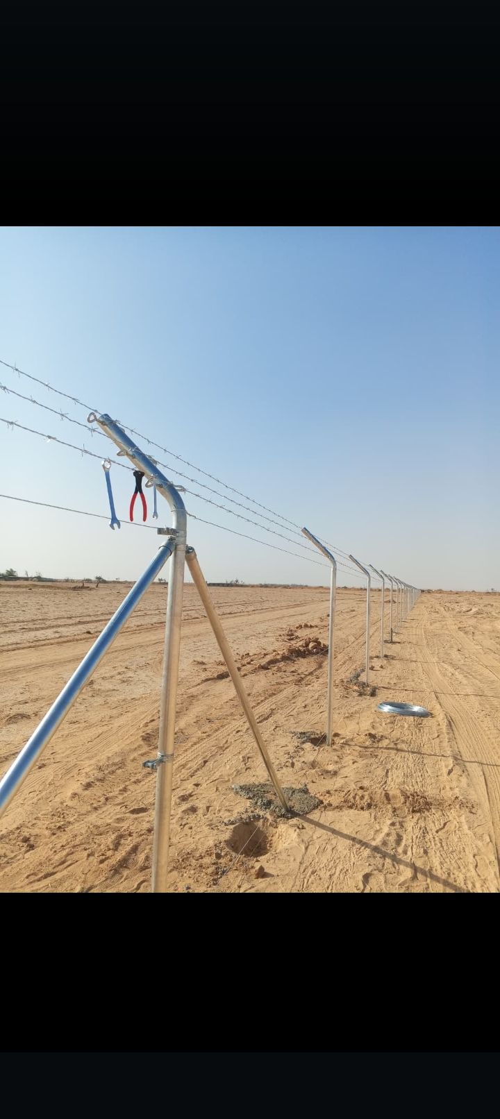 مقاول شبوك ونخيل واشجار زيتون