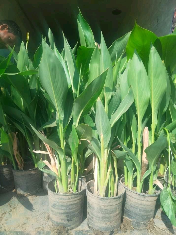 جميع مناطق الدمام