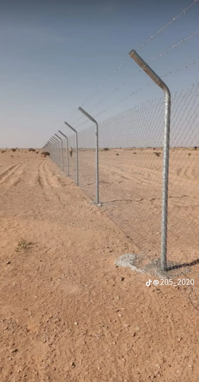 مقاول توريد وتركيب جميع انواع الشبوك وزرعه النخيل