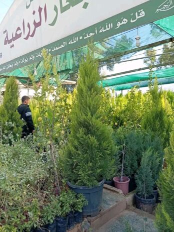 جميع مناطق الدمام
