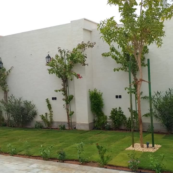 جميع مناطق الدمام