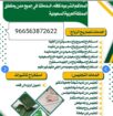 استخراج تصريح زواج ▪️أستخراج موافقة زواج▪️ شروط اس