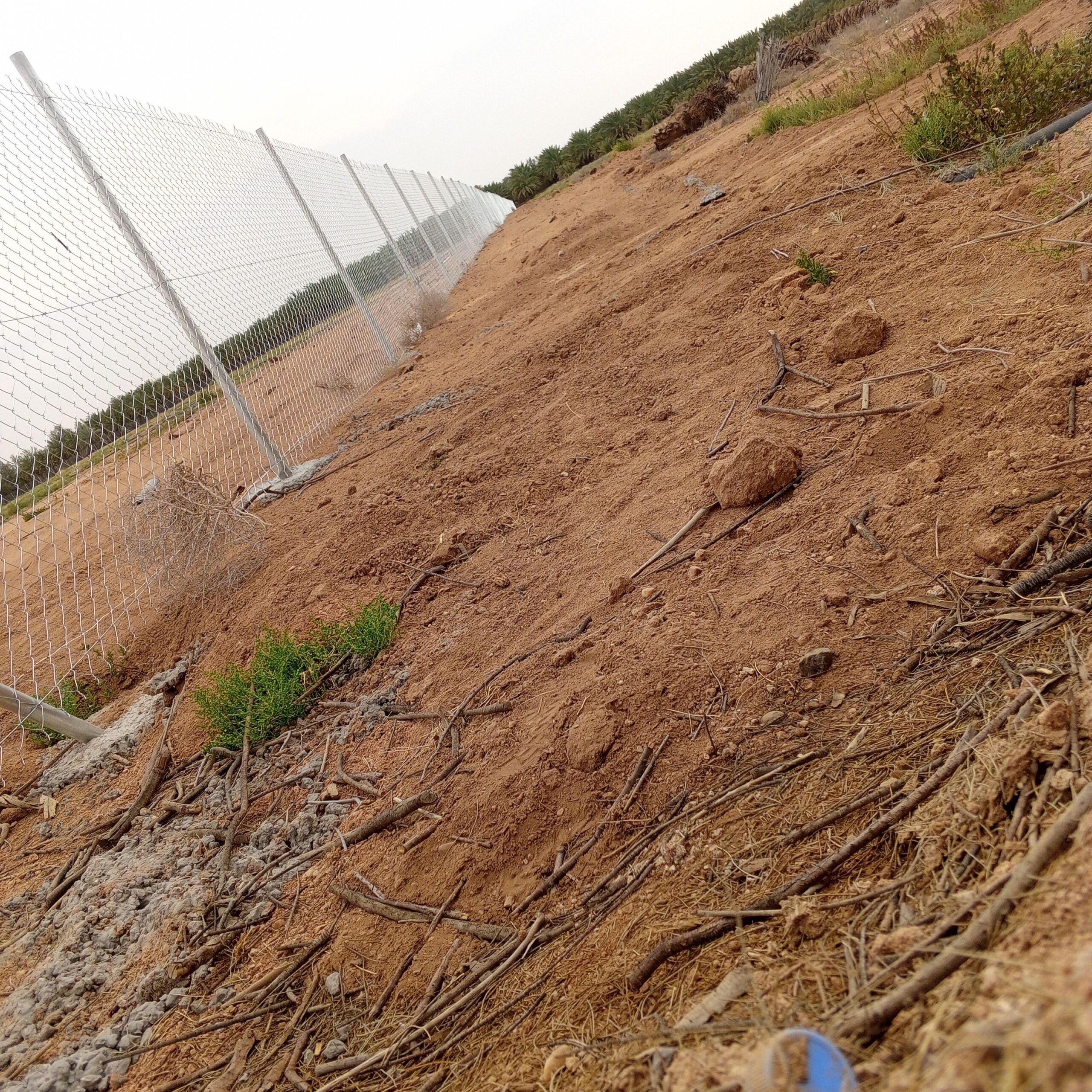 توريد وتركيب جميع انواع الشبوك المجلفن ولحار بي في