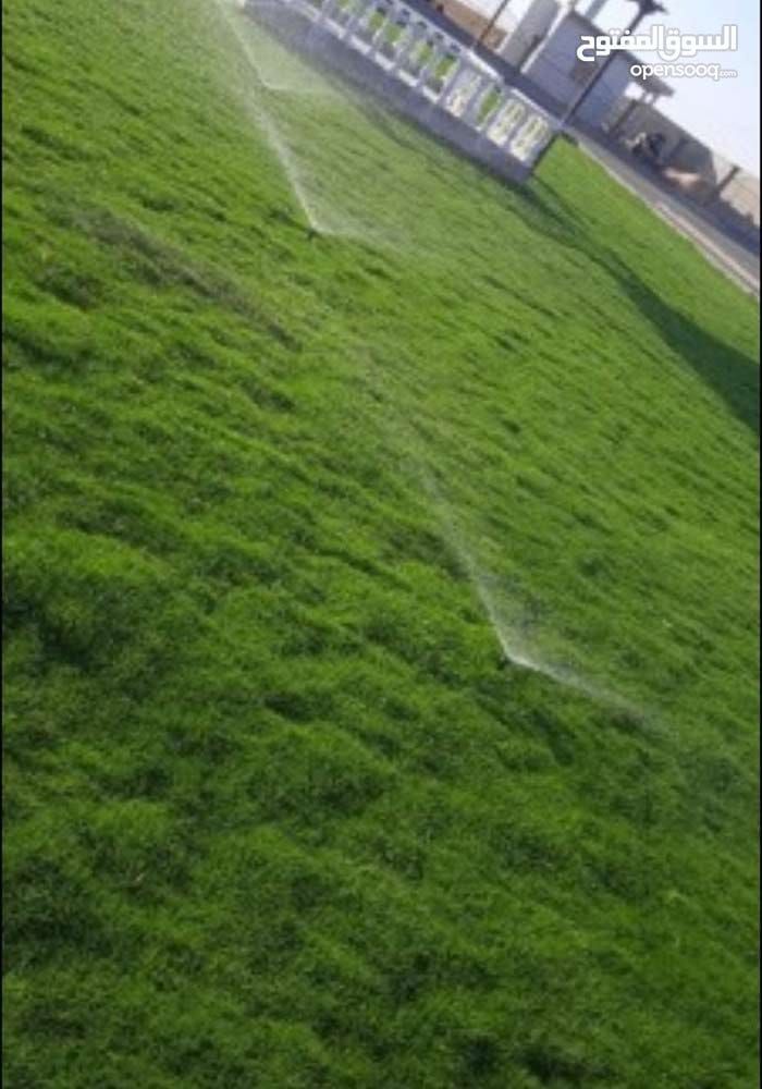 تنسيق حدائق