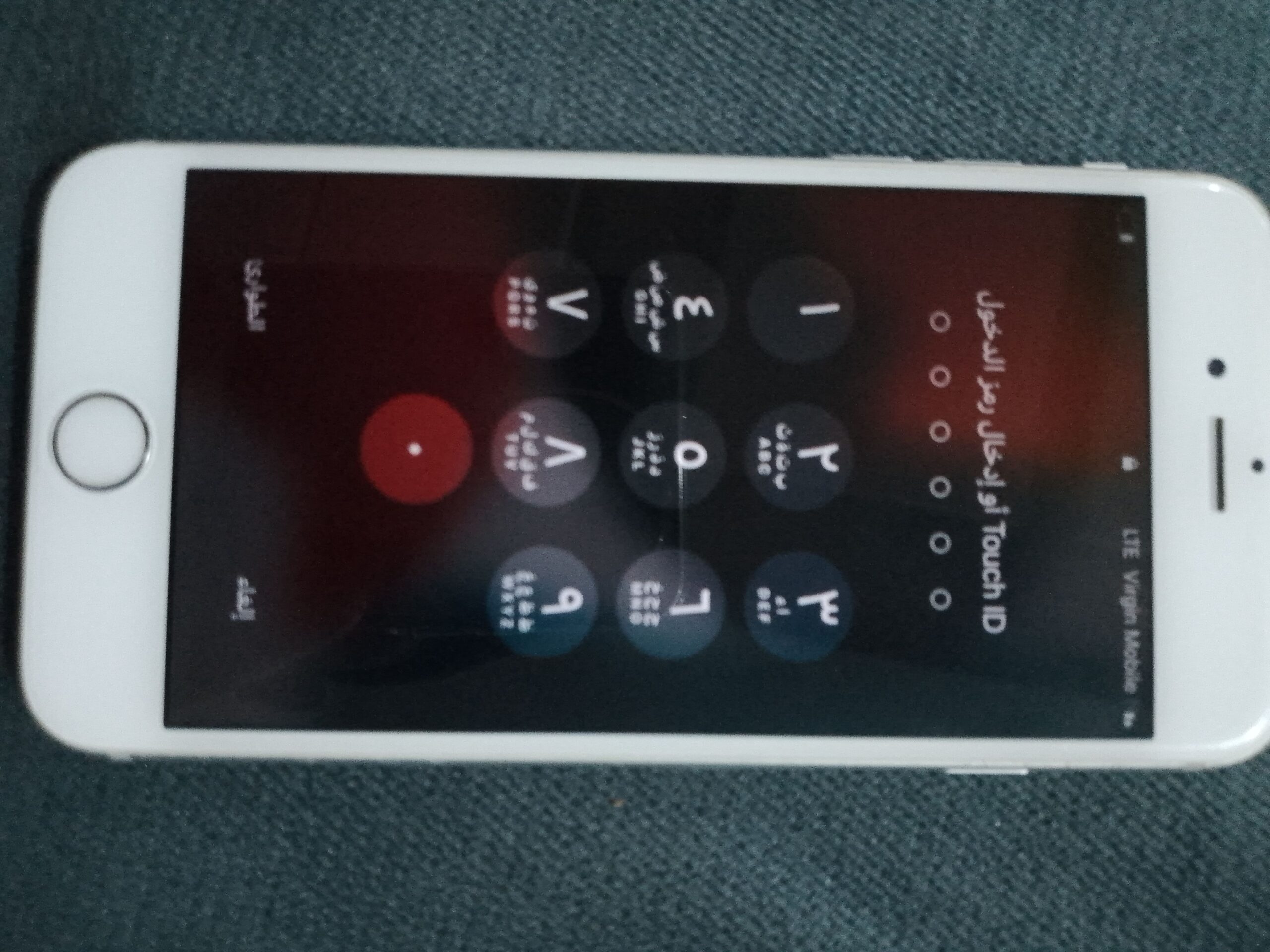 الأحساء الهفوف حي الواحة