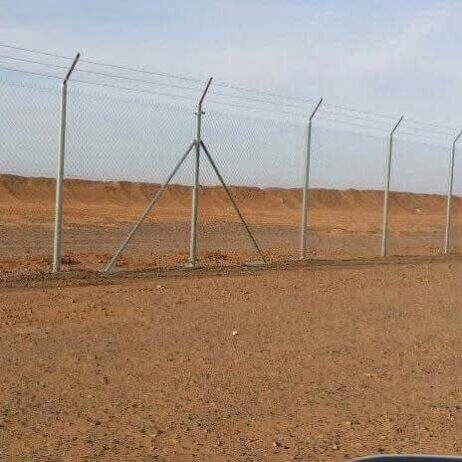 مقاول شبوك ونخيل