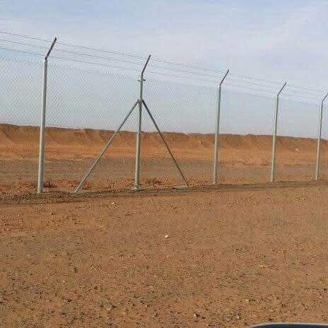 مقاول شبوك ونخيل