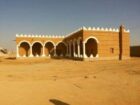 مقاول شبوك ونخيل