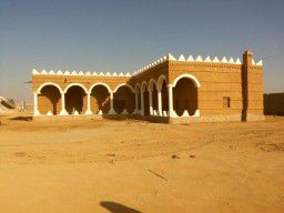 مقاول شبوك ونخيل