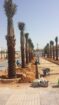 تسوير المزارع والأراضي البيضاء وتركيب شبوك الملاعب