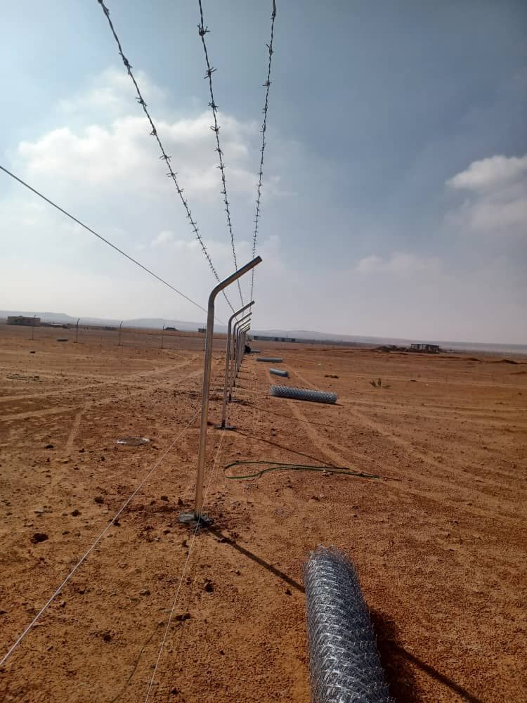 مقاول توريد وتركيب جميع انواع الشبوك وزرعه النخيل