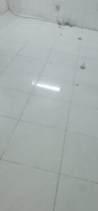 Store Banner