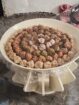 الرياض
