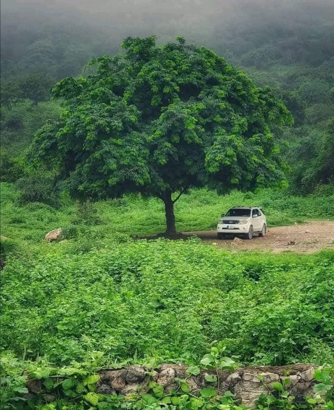 عامل سوداني