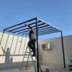الرياض