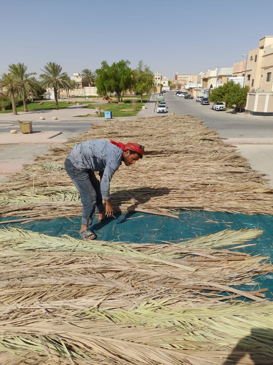 تسوير المزارع والأراضي البيضاء وتركيب شبوك الملاعب