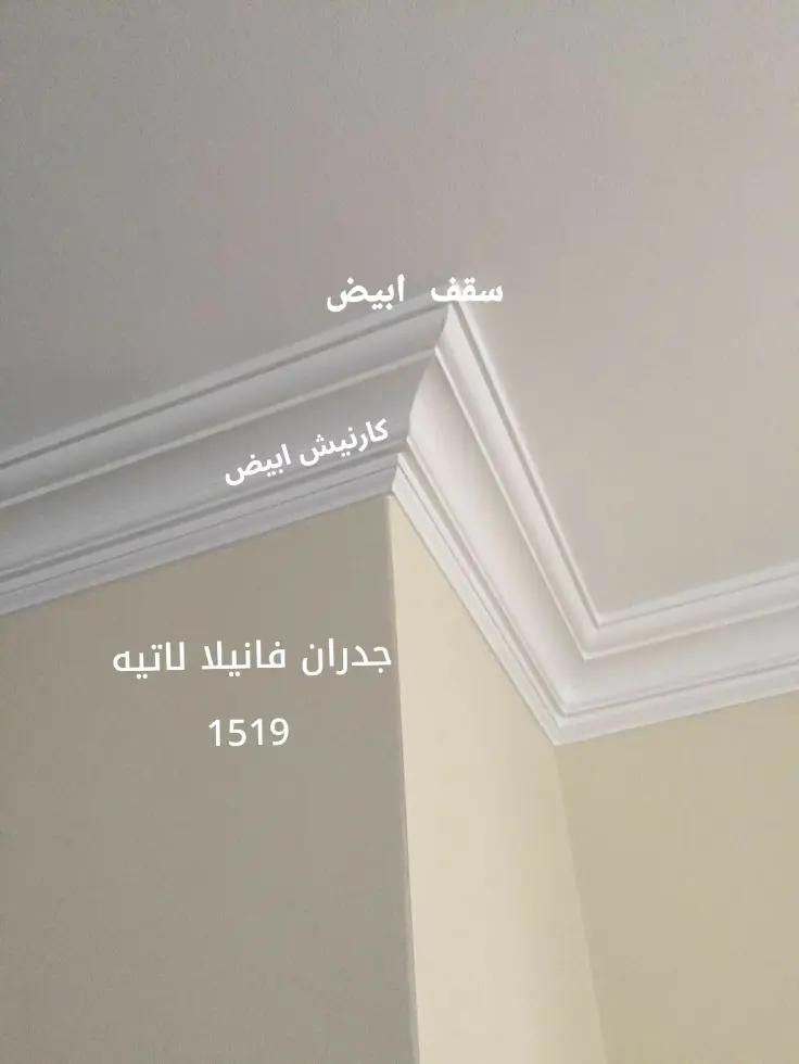 صباغ الخبر صباغ ادمام مقاولات عامه ترميم اصباغ داخ