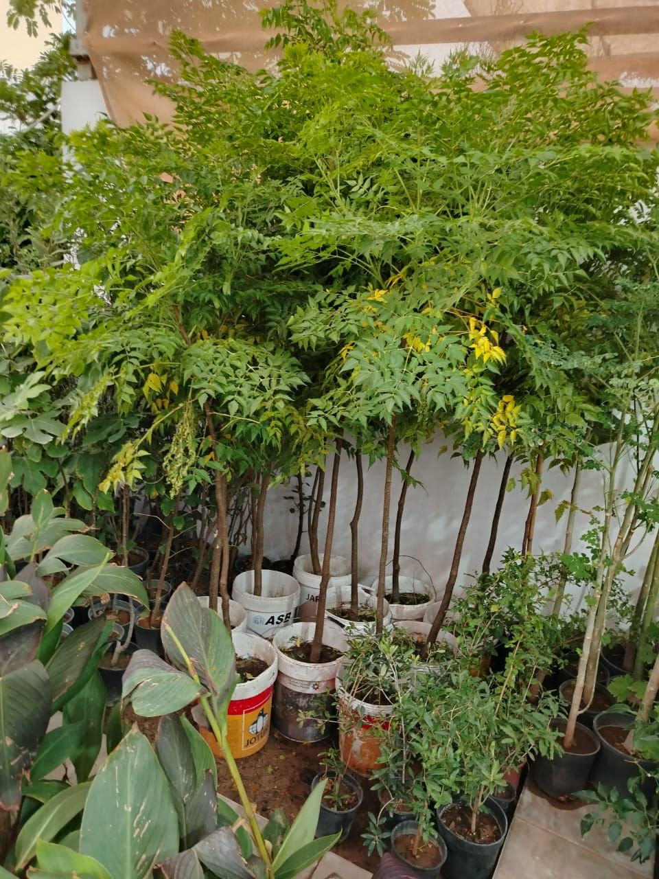 حي الاندلس شارع خالد ابن الوليد الروضة