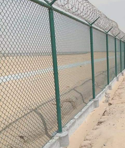 نخيل وشنطني وعربي وشبوك مزارع توريد وتركيب