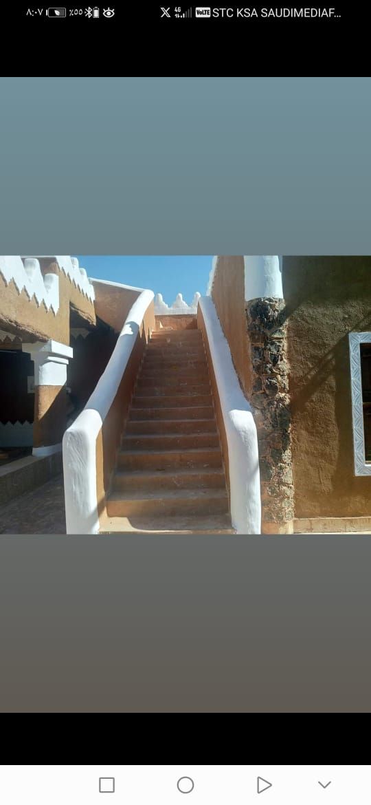 تسوير المزارع والأراضي والملاعب وتوريد وزراعة النخ